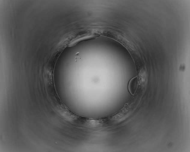 X0000096970522200802151311