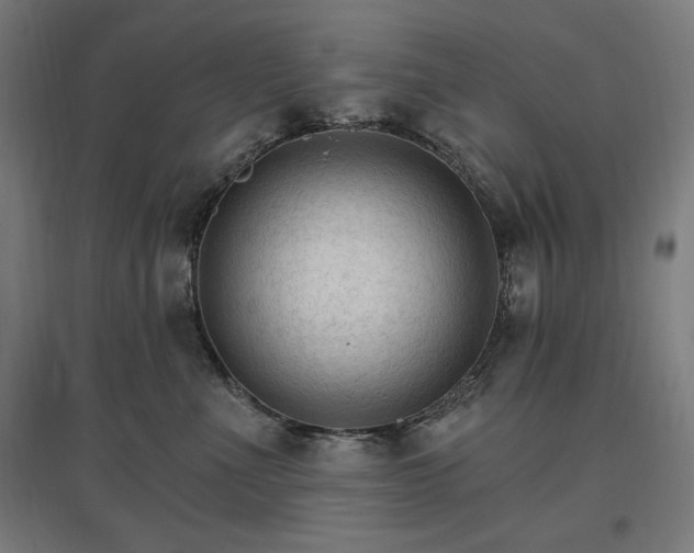X0000096970523200802151311