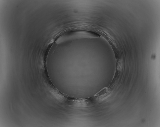 X0000096970524200802151311