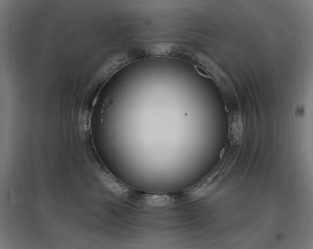 X0000096970525200802151311