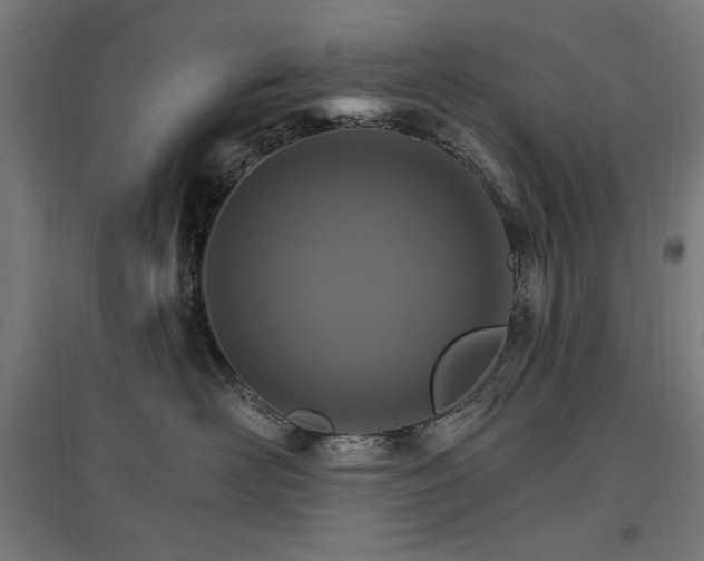 X0000096970526200802151311