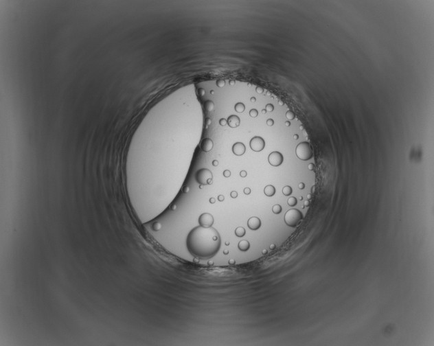 X0000096970527200802151311
