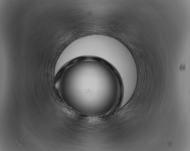 X0000096970528200802151311