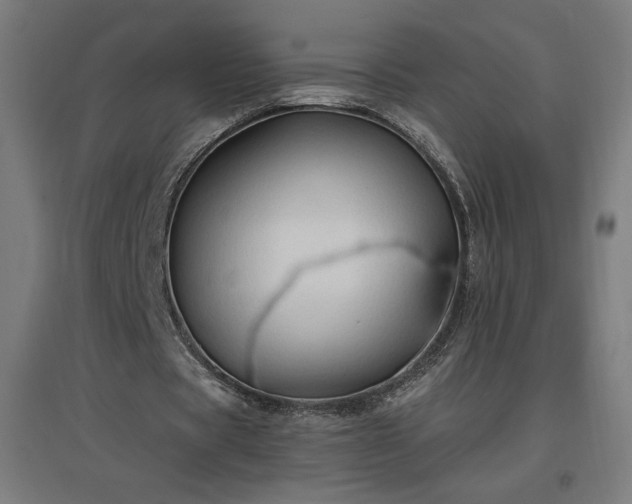 X0000096970529200802151310