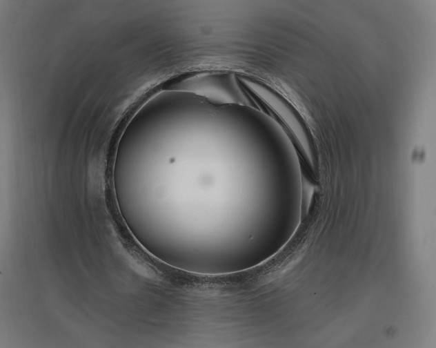 X0000096970530200802151310