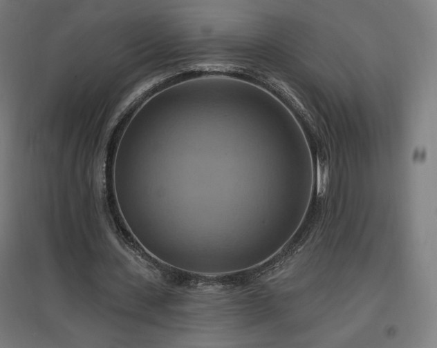 X0000096970531200802151310