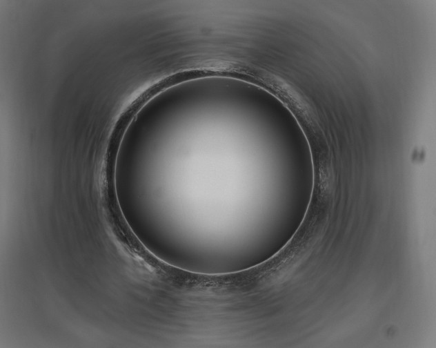 X0000096970532200802151310