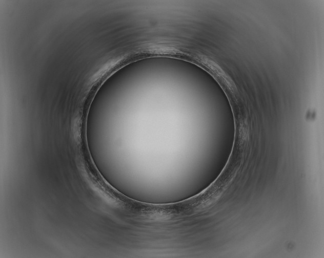 X0000096970533200802151310
