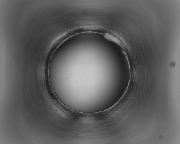 X0000096970535200802151310