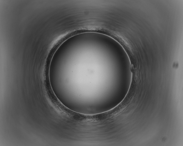 X0000096970536200802151310