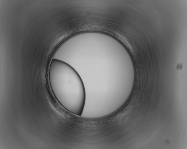 X0000096970538200802151310