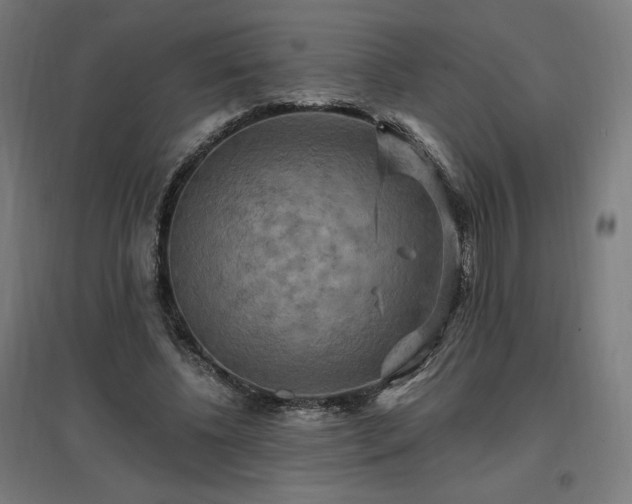 X0000096970540200802151310