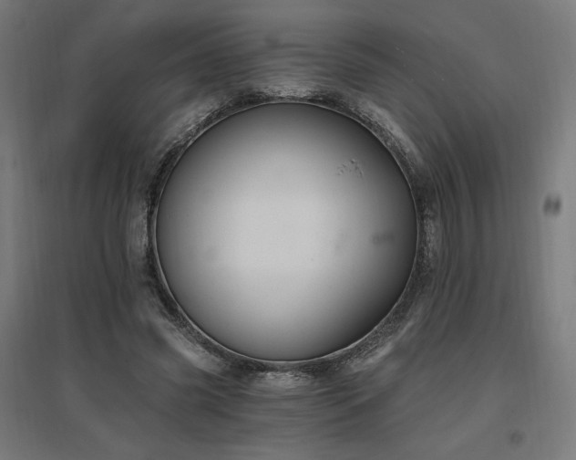 X0000096970541200802151310