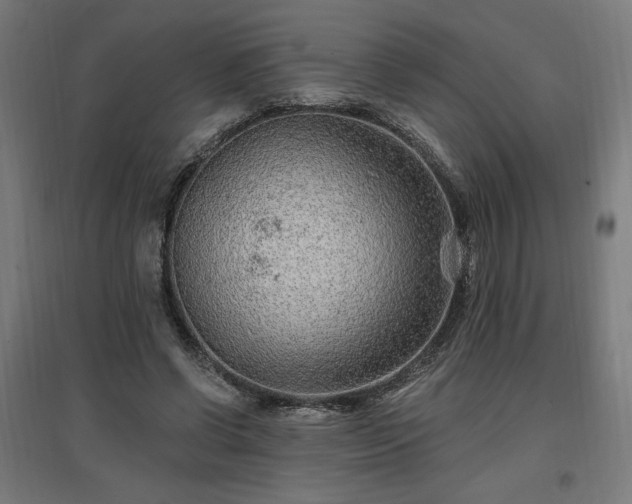 X0000096970542200802151310