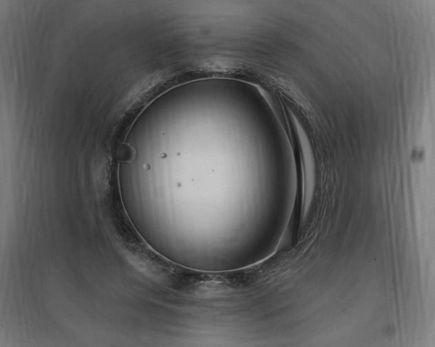 X0000096970544200802151310