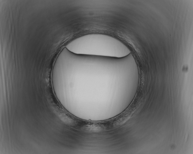 X0000096970545200802151310