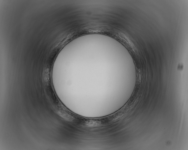 X0000096970549200802151311