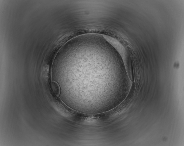 X0000096970550200802151311