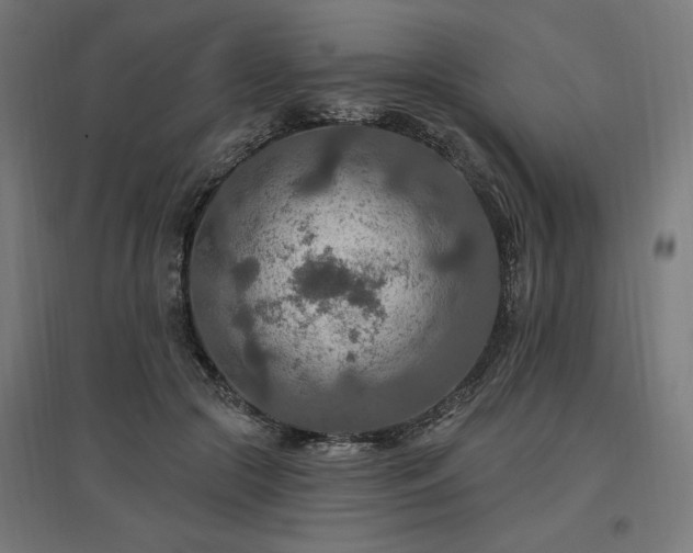 X0000096970553200802151311
