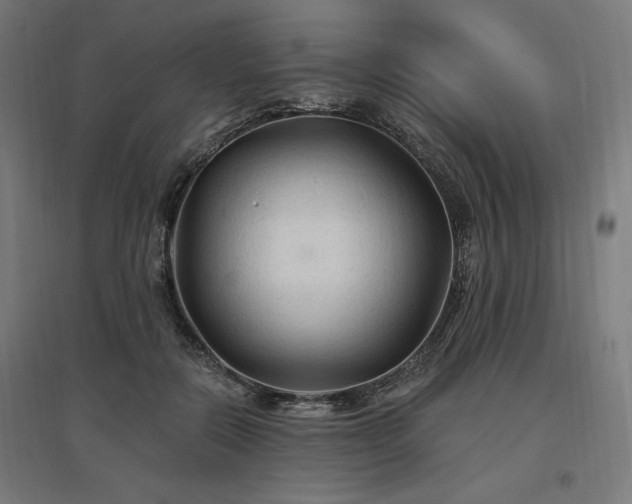 X0000096970554200802151311