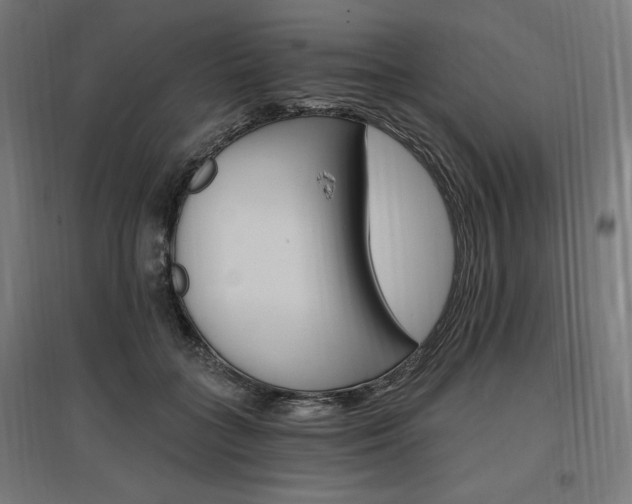 X0000096970555200802151311