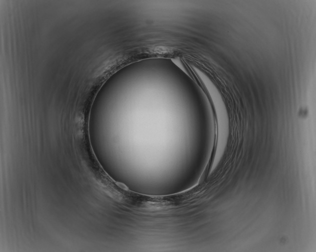 X0000096970556200802151311