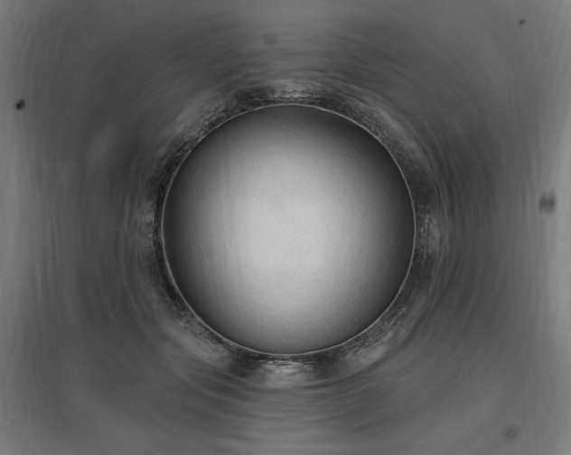X0000096970557200802151311