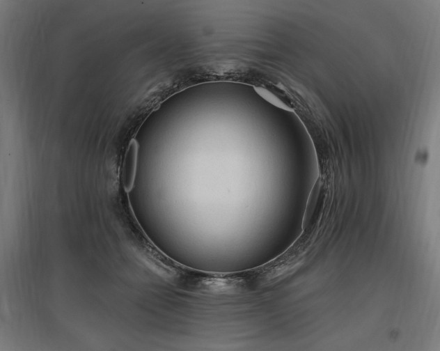 X0000096970558200802151311