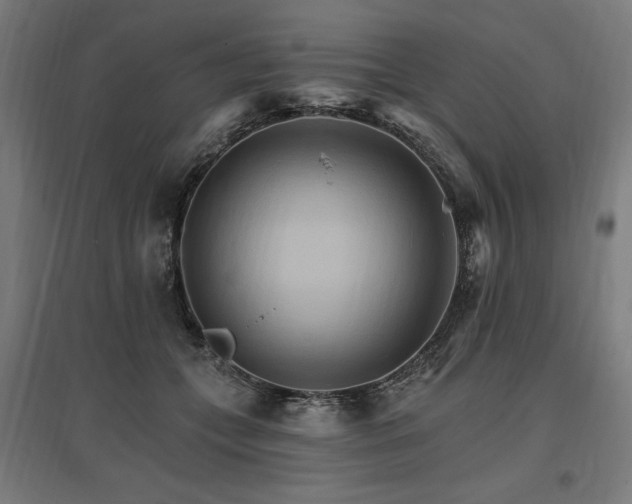X0000096970559200802151311
