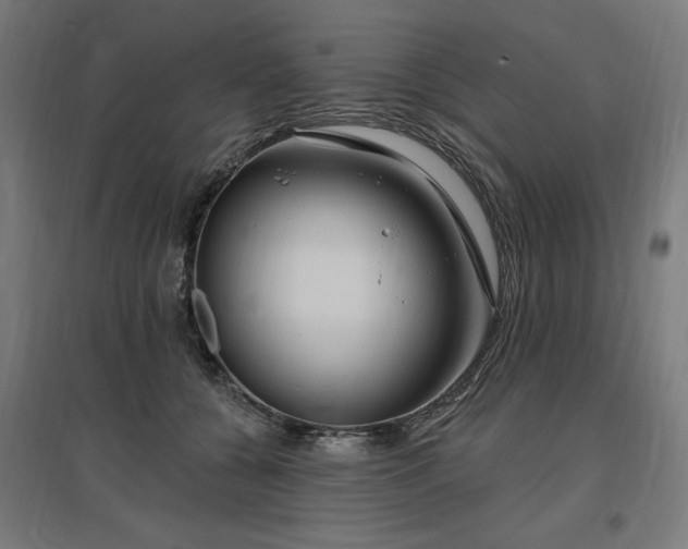 X0000096970560200802151311