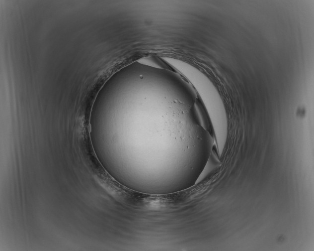 X0000096970564200802151311