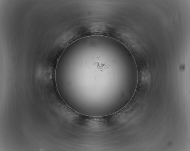 X0000096970567200802151311