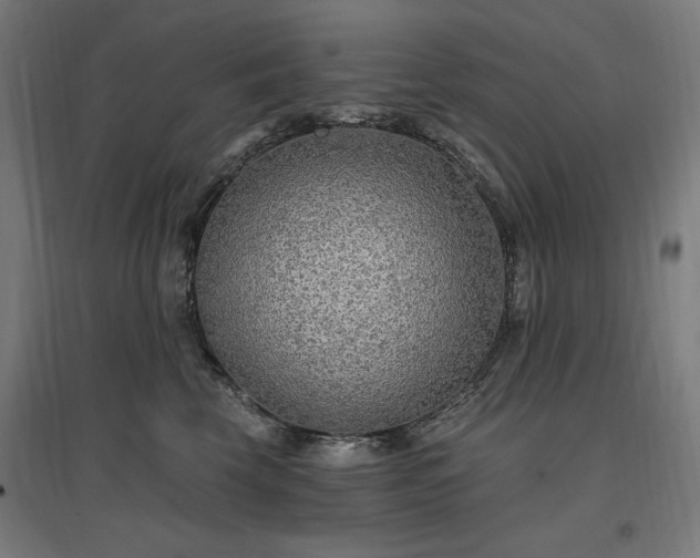 X0000096970569200802151311