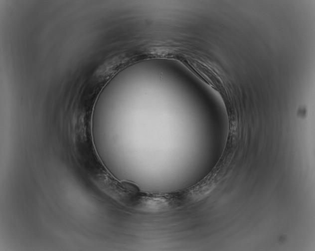 X0000096970572200802151311