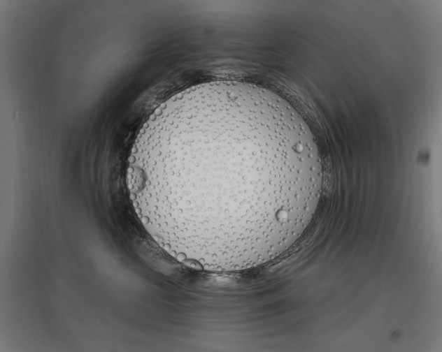 X0000096970573200802151311