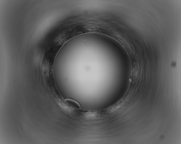 X0000096970574200802151311