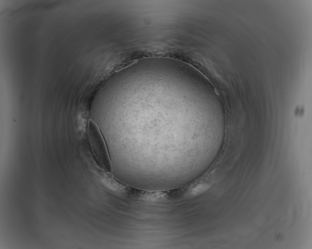 X0000096970576200802151311