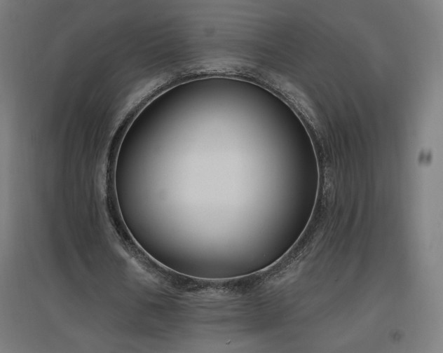 X0000096970578200802151310