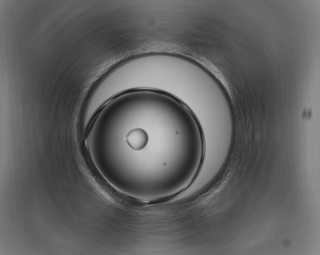 X0000096970581200802151310