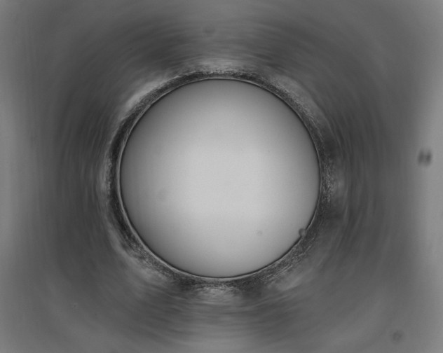 X0000096970583200802151310