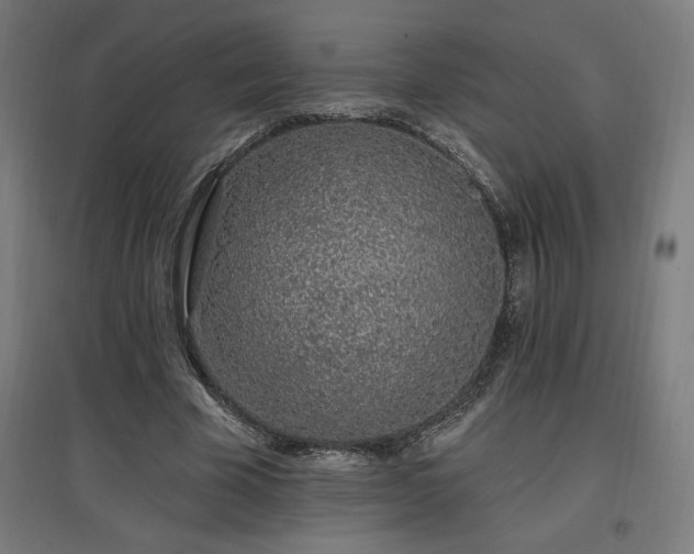 X0000096970585200802151310