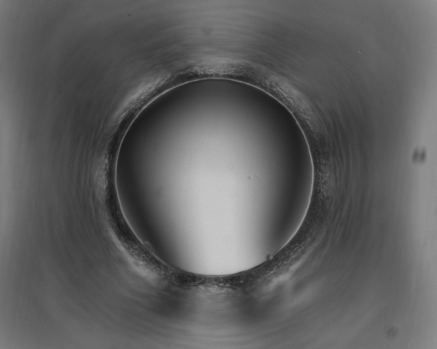X0000096970586200802151310