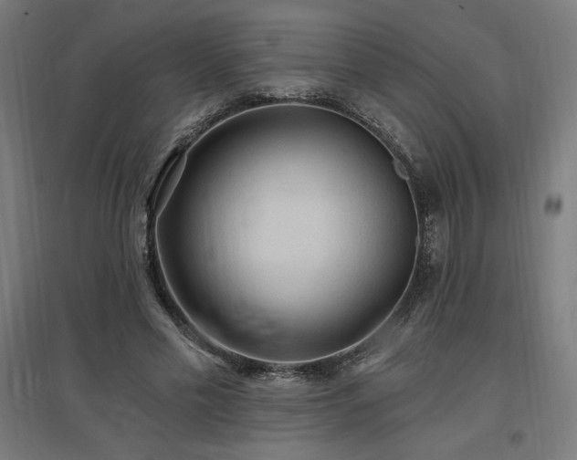 X0000096970589200802151310