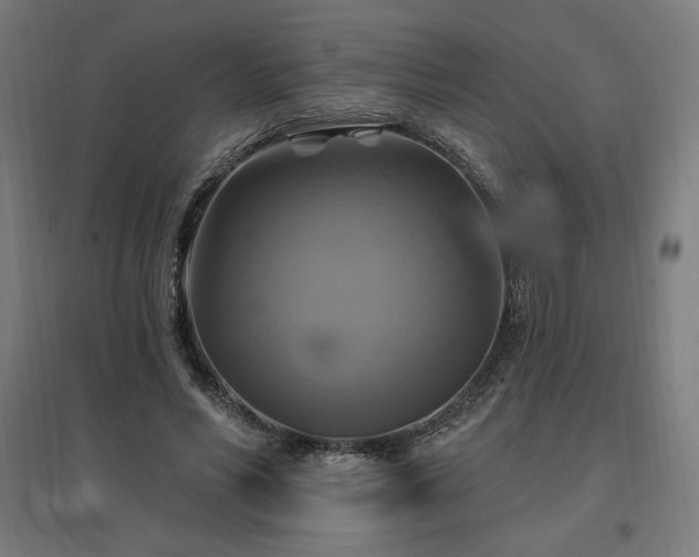 X0000096970590200802151310