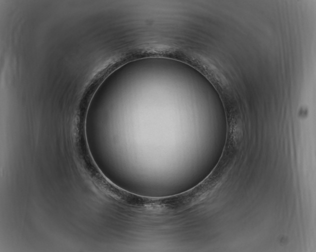 X0000096970591200802151310
