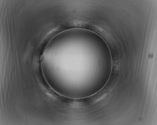 X0000096970593200802151310