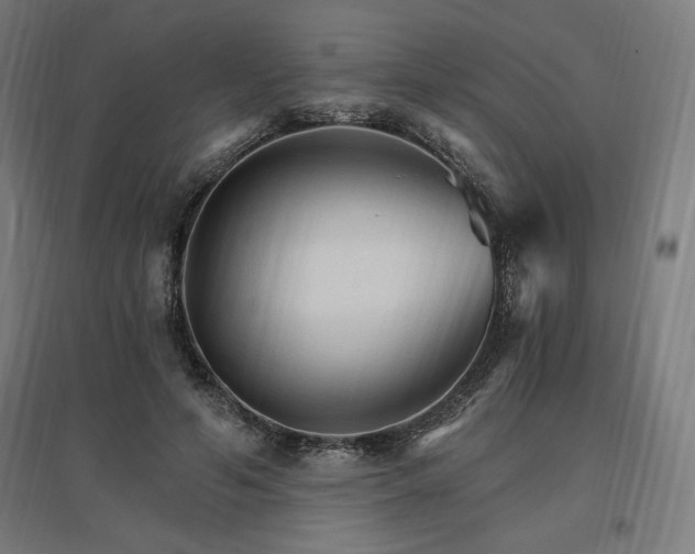 X0000096970594200802151310