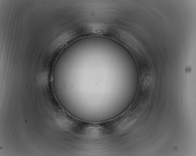 X0000096970595200802151310