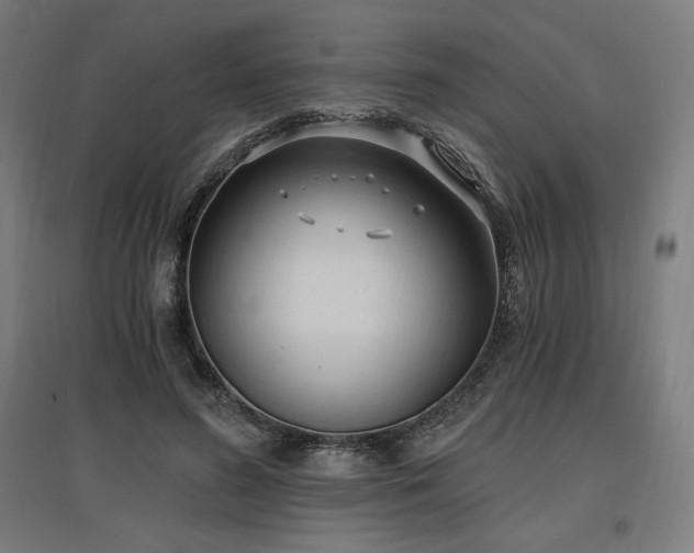 X0000096970596200802151310