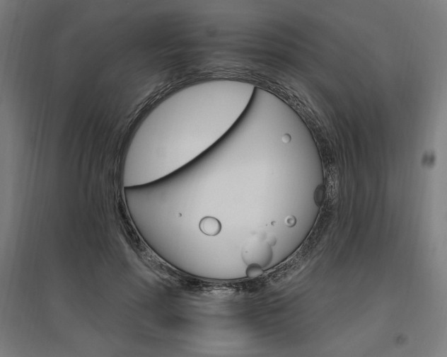X0000096970598200802151310